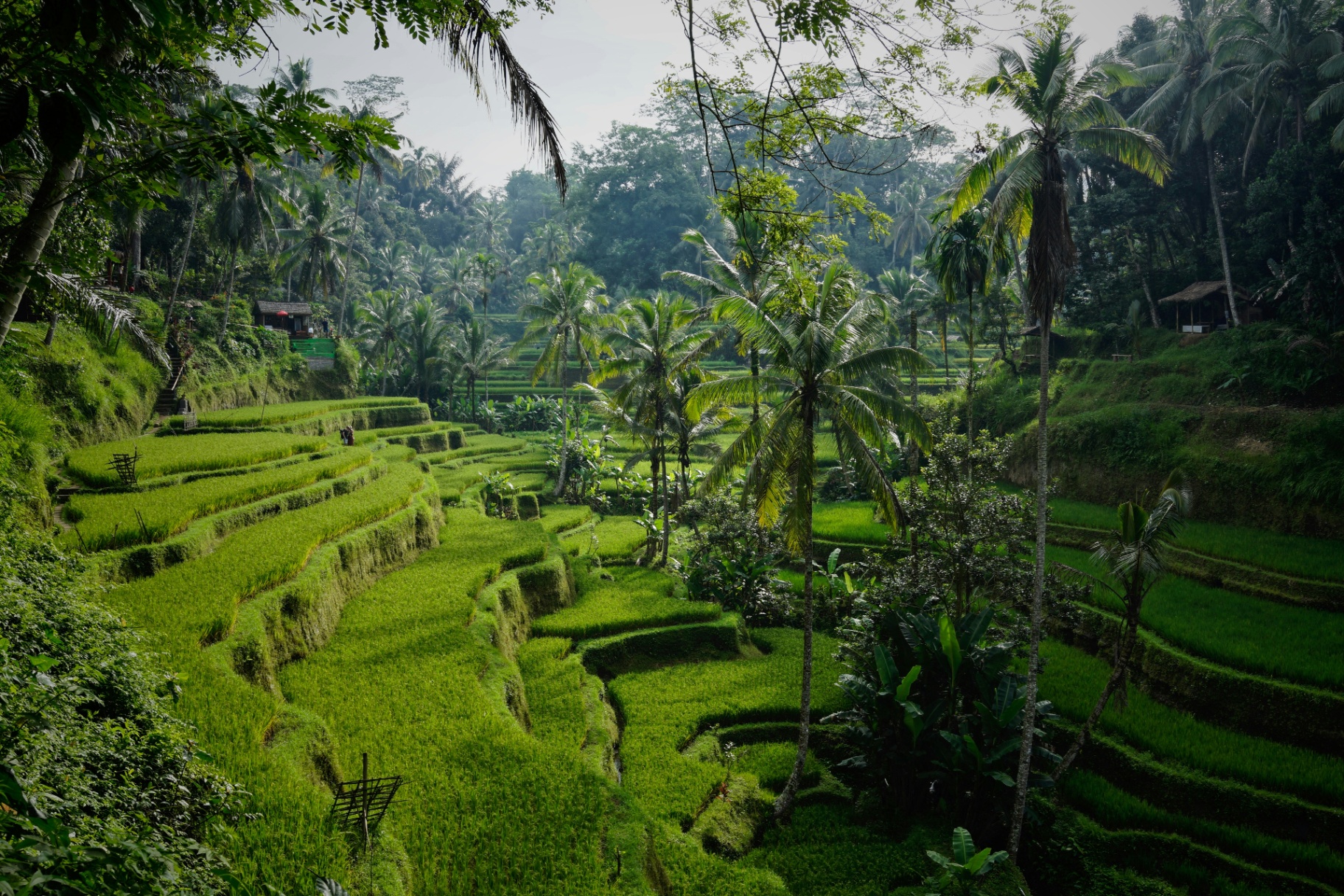 Bali in Mei