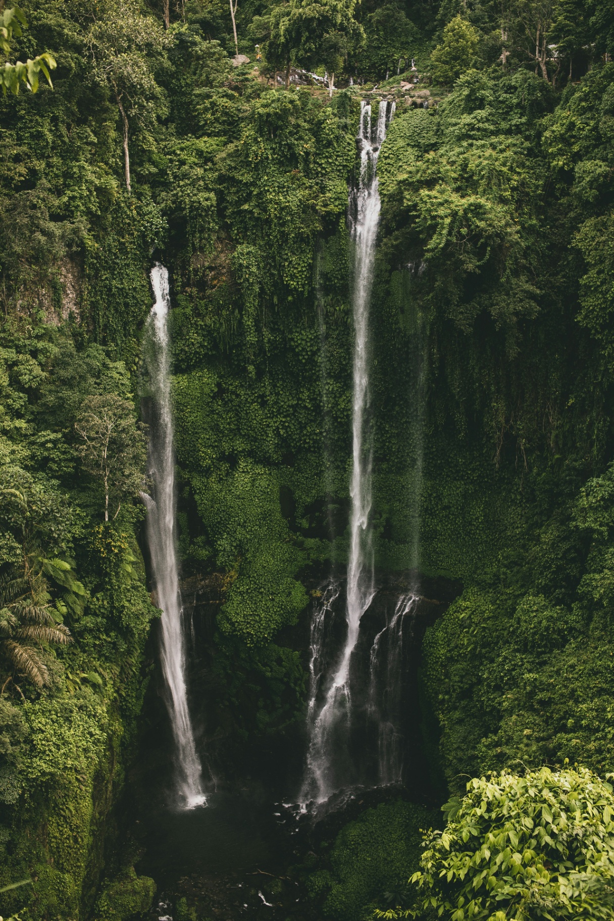 Sekumpul waterval die in twee stromen door de jungle van Noord-Bali stort